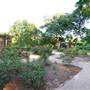Fort Worth Botanic Garden - Rose Garden
