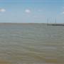 Palacios Seawall