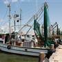 Port of Palacios