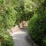 Japanese Tea Garden at Brackenridge Park