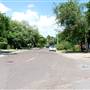Palm Boulevard Neighborhood
