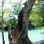 Bandera City Park