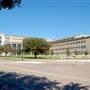 Texas A&M University