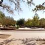 Texas A&M University