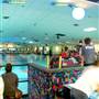 Skate Land West