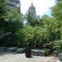 Main Plaza
