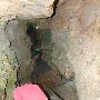 Wonder World Cave and Park