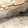 Wonder World Cave and Park