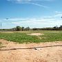 Rockne Community Recreation Center Ballfields