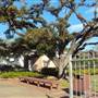 Houston Garden Center