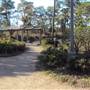 Japanese Garden in Hermann Park