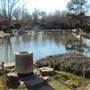 Japanese Garden in Hermann Park