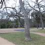 Eastwoods Park