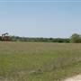 Pump Jacks on FM 141