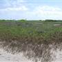 Matagorda Island