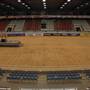Mesquite Pro Rodeo