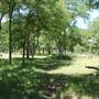 The Sandy Ranch