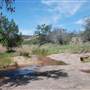 The Sandy Ranch