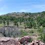 The Sandy Ranch