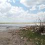Muleshoe National Wildlife Refuge