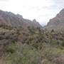 Big Bend National Park - Window Trail