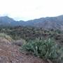 Big Bend National Park - Window Trail