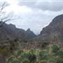 Big Bend National Park - Window Trail
