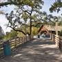 Six Flags Over Texas: Arlington