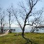 Lake Fayette Oak Thicket Park