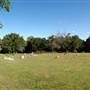 Mansfield Cemetery