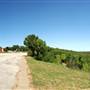 Wildcatter Ranch