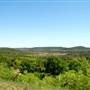 Wildcatter Ranch