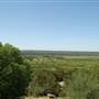Wildcatter Ranch