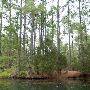 Lake Bastrop
