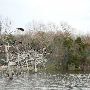 Lake Bastrop