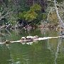 Lake Bastrop