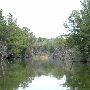 Lake Bastrop