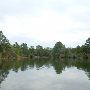Lake Bastrop