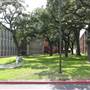 Trinity University - Albert Herff- Beze Hall
