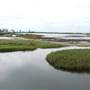 South Padre Island Birding and Nature Center & Alligator Sanctuary