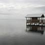 South Padre Island Birding and Nature Center & Alligator Sanctuary