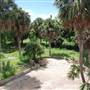 Sabal Palm Sanctuary - Rabb Plantation House
