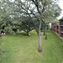 Trinity University