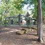 Gayla Mize Garden
