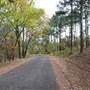 Davey Dogwood Park