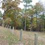 Davey Dogwood Park