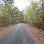 Davey Dogwood Park