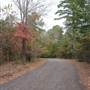Davey Dogwood Park