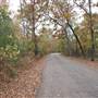 Davey Dogwood Park