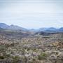 Big Bend Ranch State Park